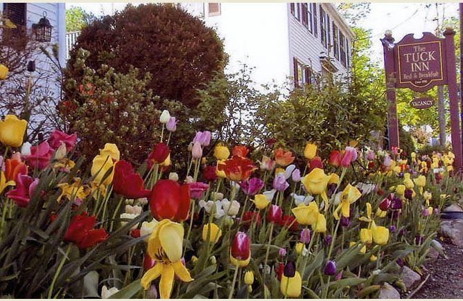 Tuck Inn B&B ร็อกพอร์ต ภายนอก รูปภาพ